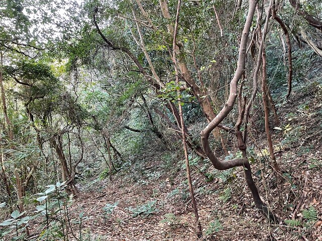 荒れ果てた公園2