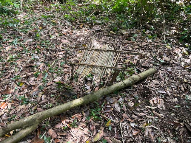 キャンプ番長 ASAHI BASE のブッシュクラフトサイトに残された竹のテーブル？