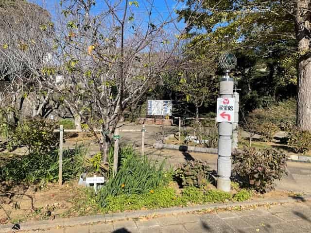 展望館への道案内