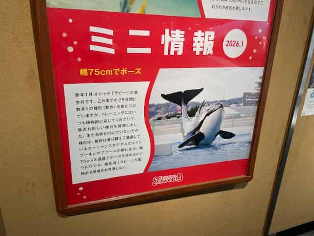 2026年1月のミニ情報