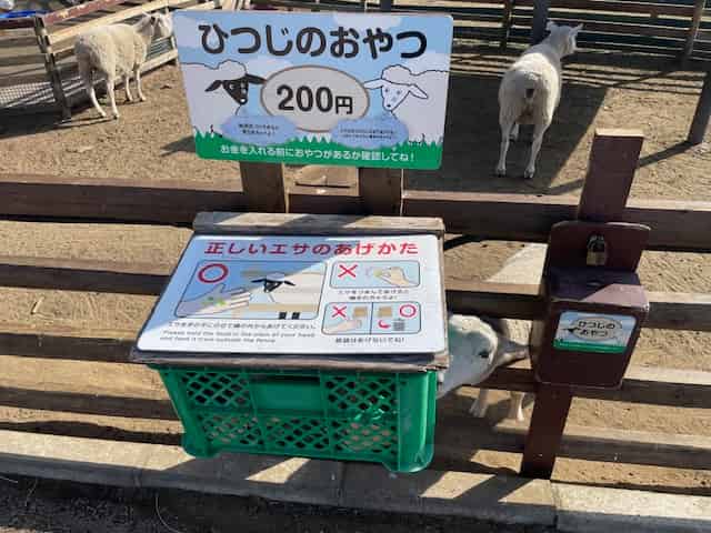 ひつじのおやつは200円で体験