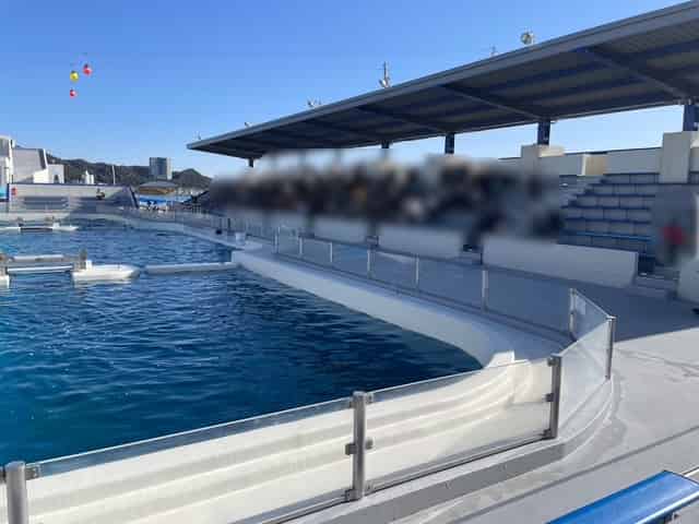 イルカパフォーマンスの混み具合