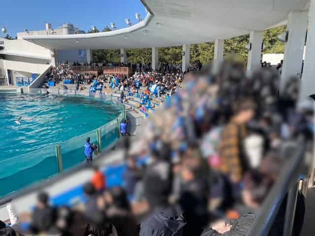 シャチパフォーマンスの混み具合