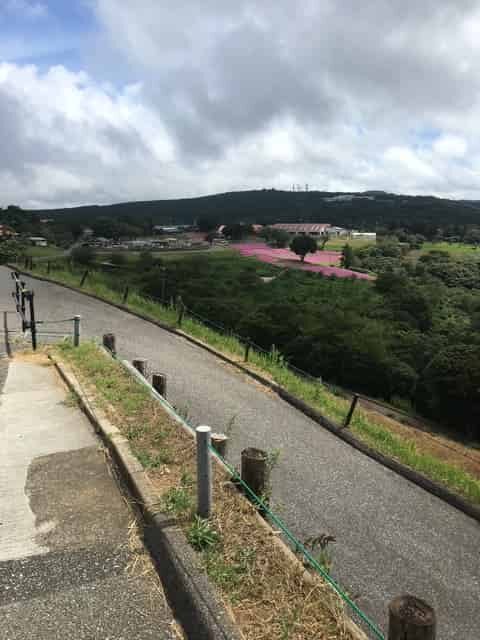 夏は緑が生い茂った牧場