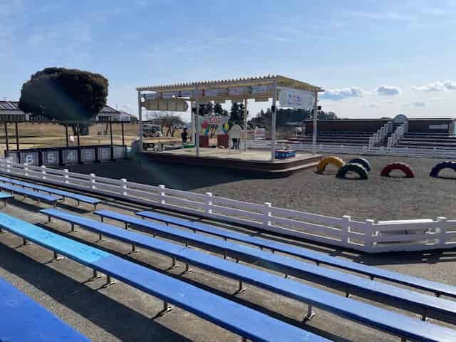 子豚のレース会場