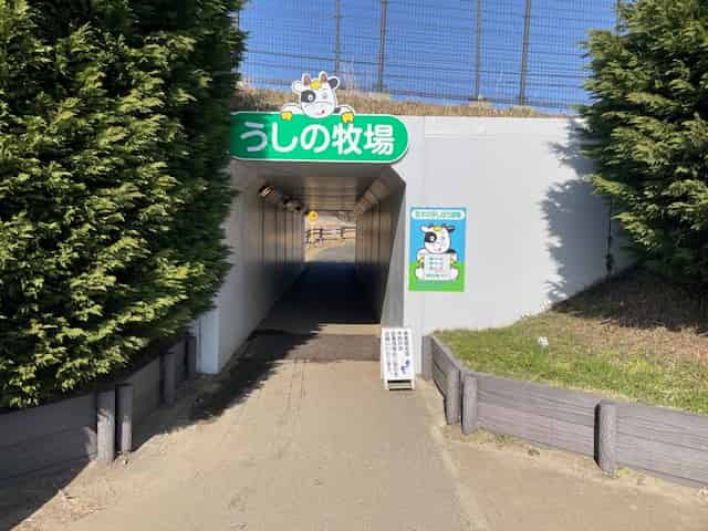 うしの牧場へのトンネル