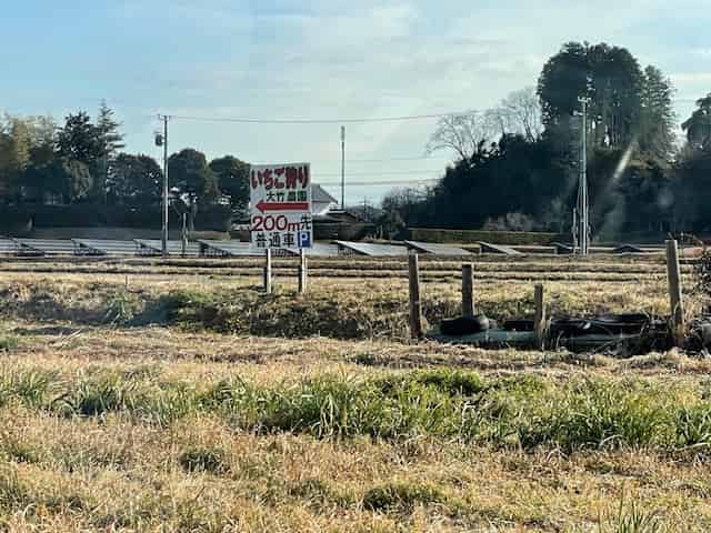 いちご狩り看板