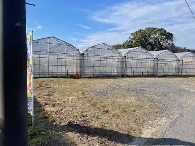 ビニールハウス裏駐車場