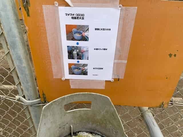 マメマメ・コロコロ相場君大豆