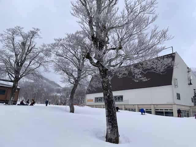 かぐらゴンドラ終着駅兼レストラン