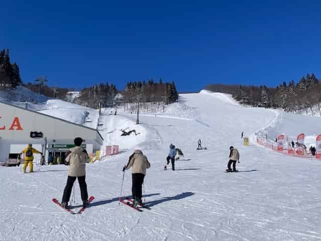 GALA湯沢スキー場のゲレンデ