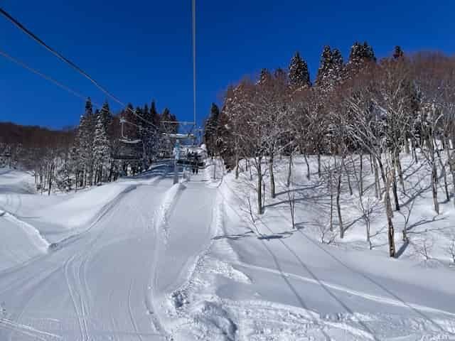 リフトからの眺め