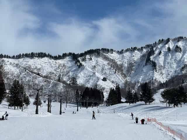 湯沢中里スノーリゾートのゲレンデ
